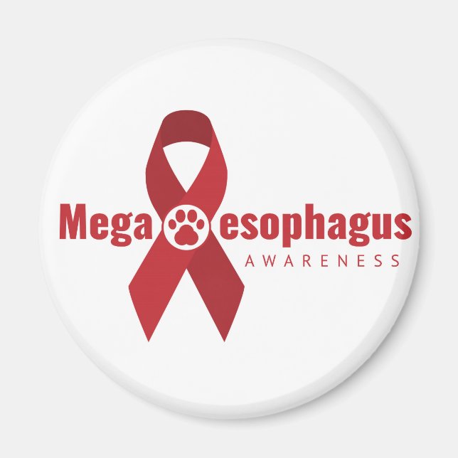 imán UCB ME Awareness Ribbon (Frente)