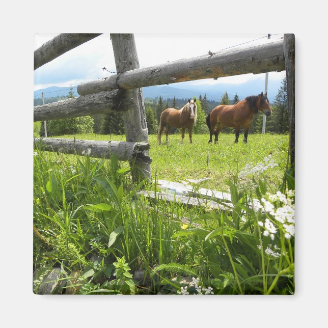 Imán Ucrania: En las montañas de los Cárpatos (Frente)