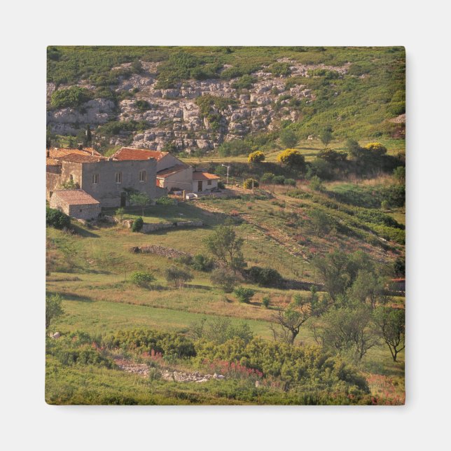 Imán UE, Francia, Provenza, Bouches, du, Rhone, 9 (Frente)