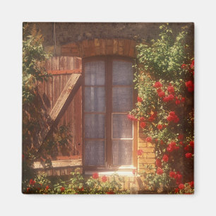 Imán UE, Francia, Provenza, Vaucluse, Apt. Casa 2