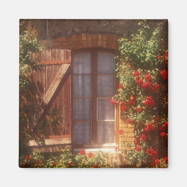 Imán UE, Francia, Provenza, Vaucluse, Apt. Casa 2 (Frente)