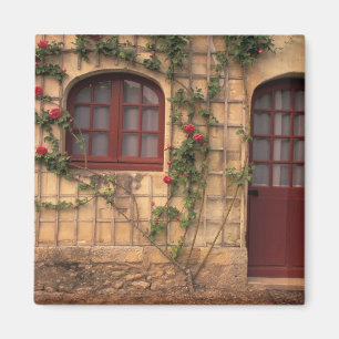 Imán UE, Francia, Valle del Loira, Indre, et, Loire