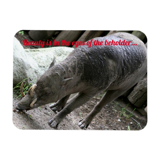 Imán Ugly animals, Babirusa (Horizontal)