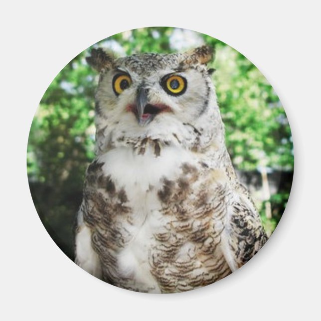 IMÁN " ÚLTIMO " EL MAGNET DE OWL (Frente)