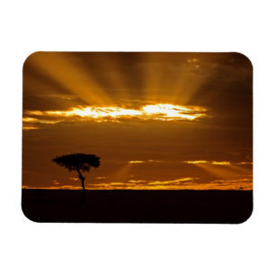 Imán Un amanecer con la boca abierta en el Maasai Mara
