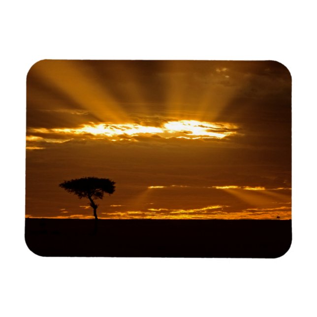 Imán Un amanecer con la boca abierta en el Maasai Mara (Horizontal)