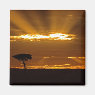 Imán Un amanecer en el Maasai Mara
