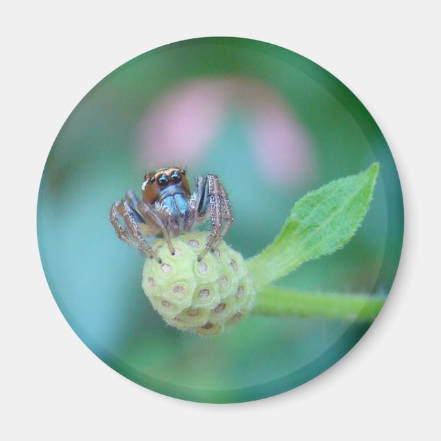 Imán ¡Un Amigo Del Jardín! (Frente)