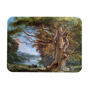 Imán Un árbol de haya antiguo, 1794 (aceite en lona)