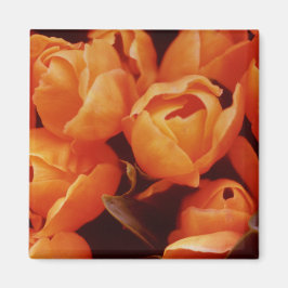 Imán Un arreglo de tulipanes Naranjas, mercado de la ca