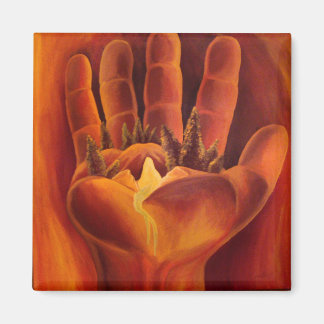 Imán Un balance delicado