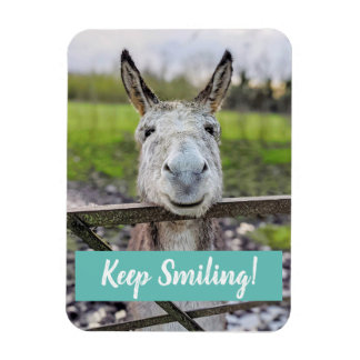 Imán Un burro sonriente "sigue sonriendo"