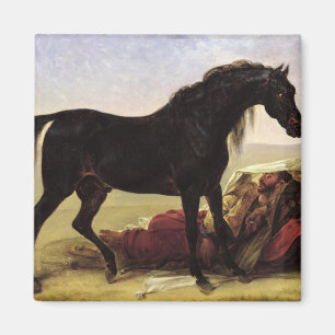 Imán Un caballo árabe