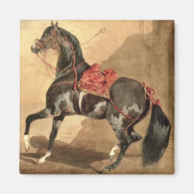 Imán Un caballo árabe (p/p fijado en papel) (Frente)