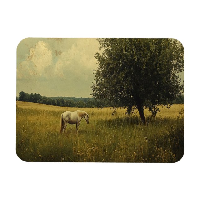 Imán Un caballo blanco pastando en un campo (Horizontal)