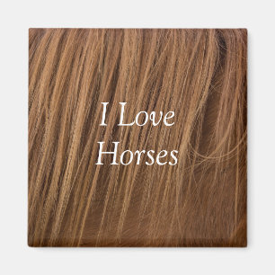 Imán Un caballo que amo a los caballos