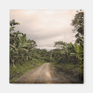 Imán Un camino alejado de la selva