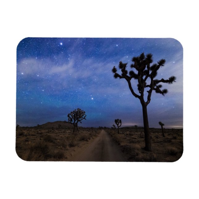 Imán Un camino desierto y árboles de Joshua de noche (Horizontal)