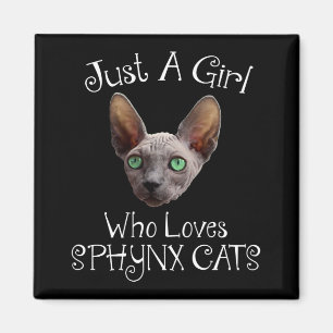 Imán Un Chica Que Ama Los Gatos De Sfinx