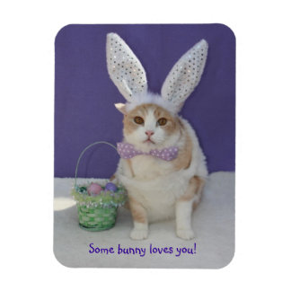 Imán Un conejo te ama a ti gato Kitty de Pascua