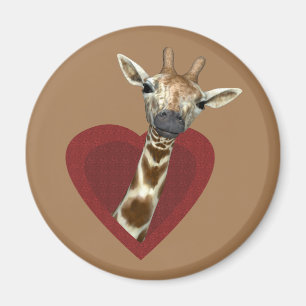 Imán Un Corazón Dulce Para Las jirafas
