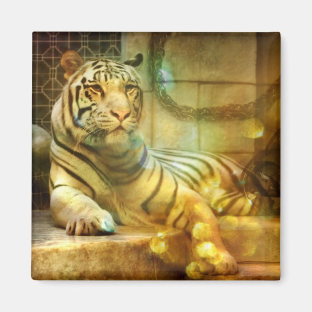 Imán Un corazón en reposo (Frente)