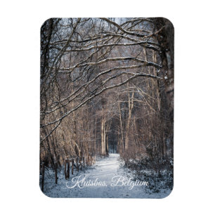 Imán Un día de invierno en Kluisbos Bélgica