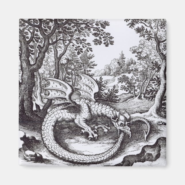 Imán Un dragón en la selva (Frente)