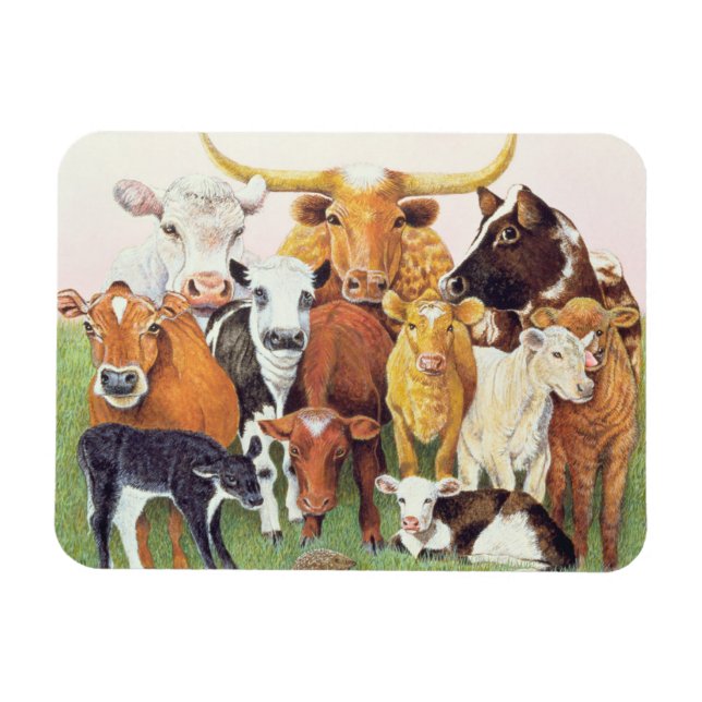 Imán Un extraño sorprendente (Horizontal)