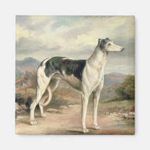 Imán Un galgo en un paisaje montañoso