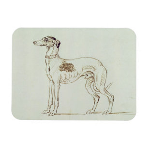 Imán Un galgo, haciendo frente a la izquierda (pluma y