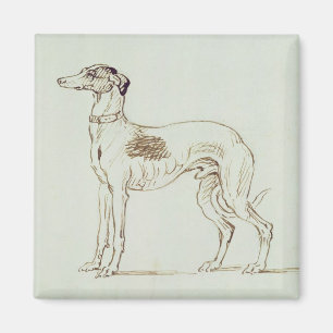 Imán Un galgo, haciendo frente a la izquierda (pluma y