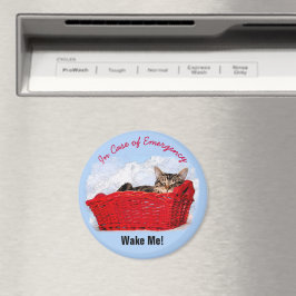 Imán Un gatito durmiente en una foto del Personalizado 