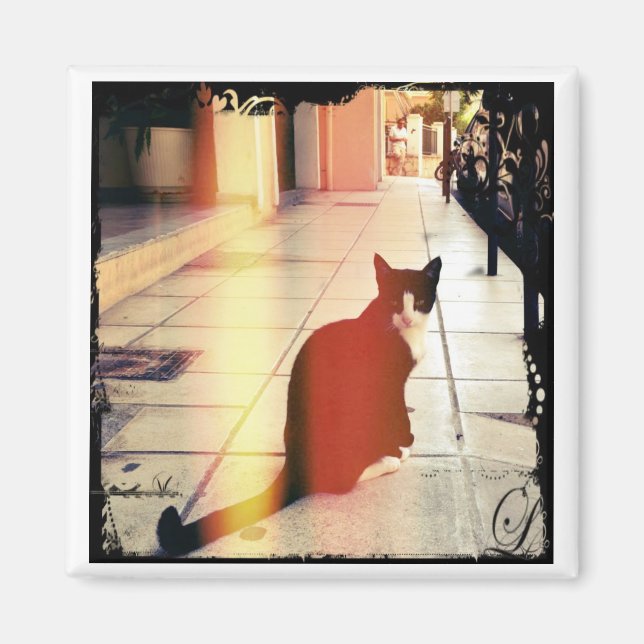 Imán Un gato (Frente)