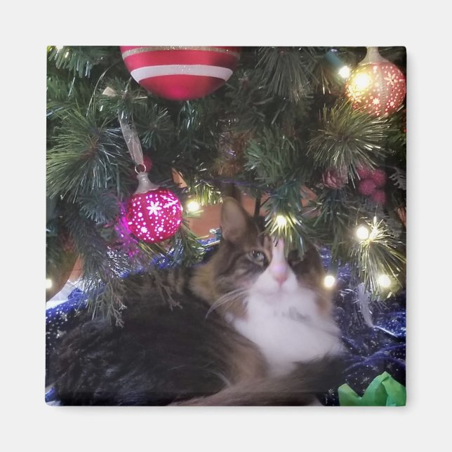Imán Un gato acogedor bajo un árbol de navidad (Frente)