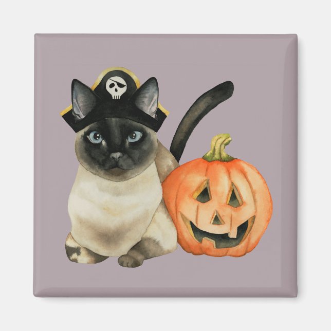 Imán Un gato pirata chiquito siamés con Jack O Lantern (Frente)