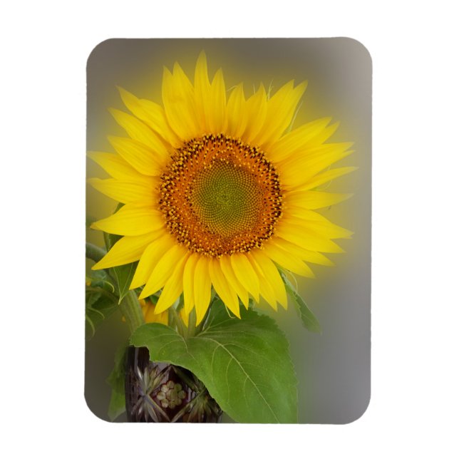 Imán un girasol brillante (Vertical)