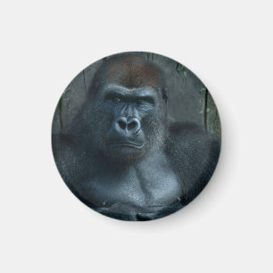 Imán Un giro de 1800 grados en la creación