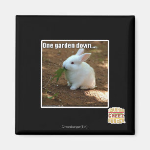 Imán Un jardín Down�