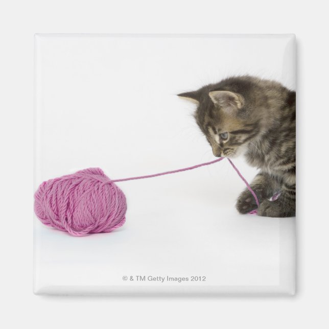 Imán Un joven gatito de tabby jugando con una pelota de (Frente)