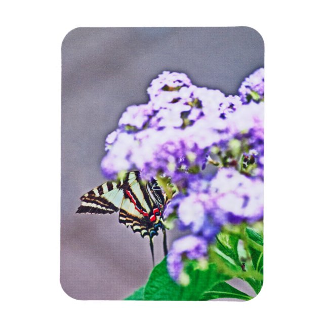 Imán Un juego de escondite y búsqueda (Vertical)