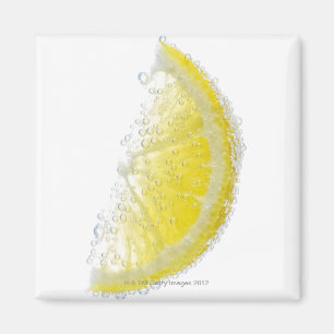 Imán Un jugoso fruto de limón orgánico maduro sumergido