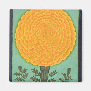 Imán Un Marigold, del álbum de la pequeña montaña (con 