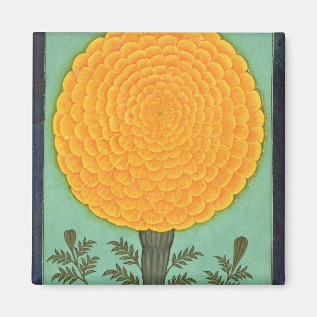 Imán Un Marigold, del álbum de la pequeña montaña (con  (Frente)