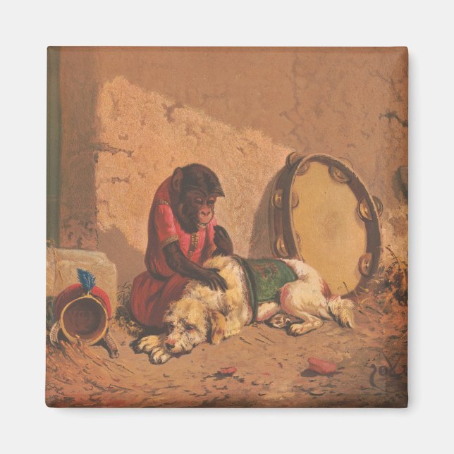 Imán Un Mono Y Un Perro Con Un Gran Panorama (Frente)