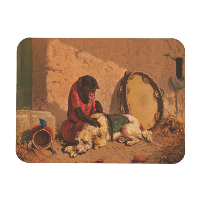 Imán Un Mono Y Un Perro Con Un Gran Panorama (Horizontal)