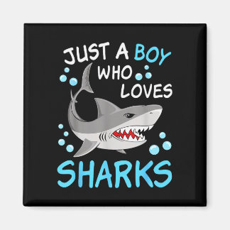 Imán Un niño que ama tiburones divertido animal océano