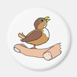 Imán Un Pájaro En La Mano