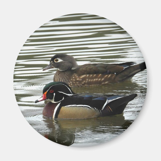 Imán Un par de pollos de madera (Frente)