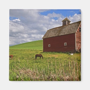 Imán Un paseo por el campo agrícola de Palouse 3